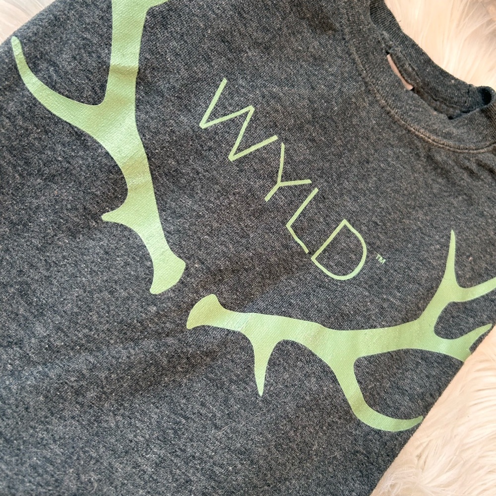 Gray and Green Long Sleeve Tee Shirt